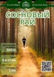 Трейл Сосновый рай  в золотом бору от Trailrunning Samara